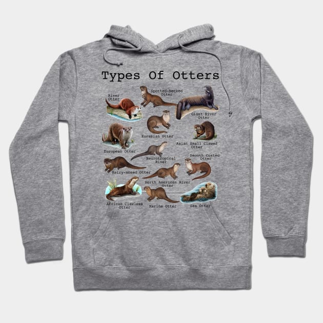 Otters Sea Otter Giant Otter Educational Animal Hoodie by Studio Hues